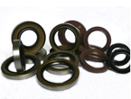 Oil Seal